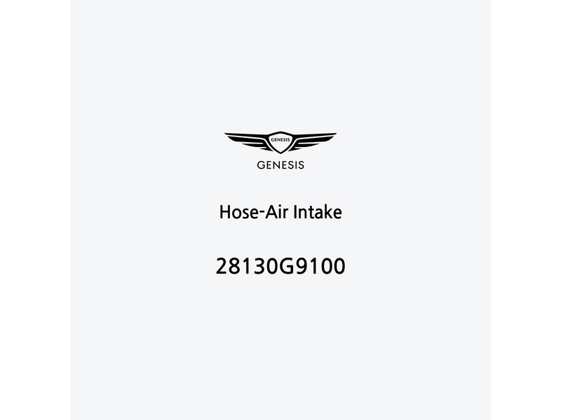 hose-air-intake-28130g9100