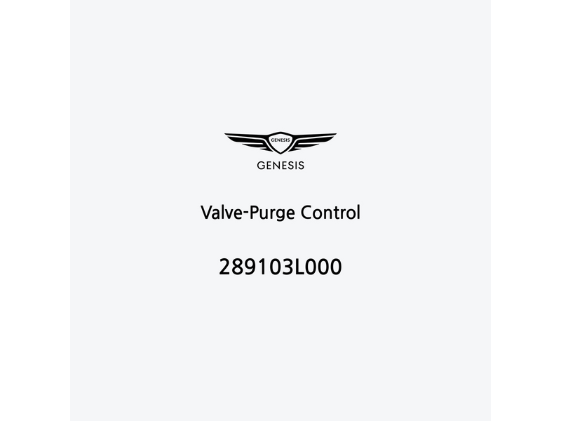 valve-purge-control-289103l000-pt