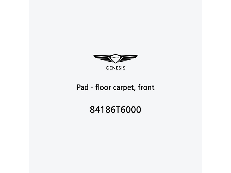 pad-floor-carpet-front-it