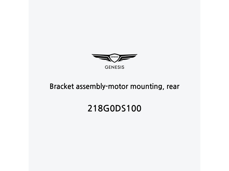 bracket-assembly-motor-mounting-rear-it-3