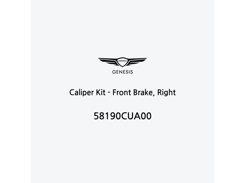 caliper-kit-front-brake-right-es-2