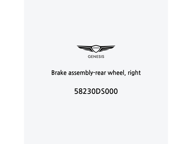 brake-assembly-rear-wheel-right-it