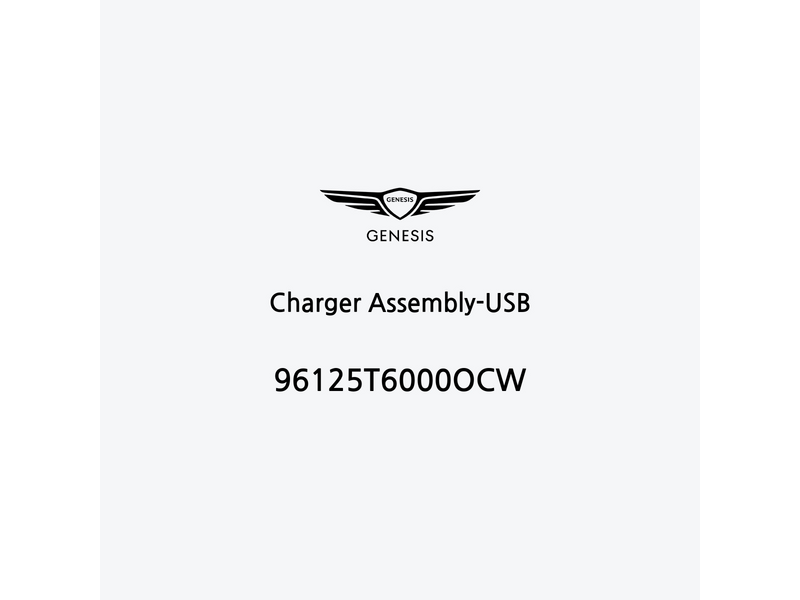 charger-assembly-usb-it