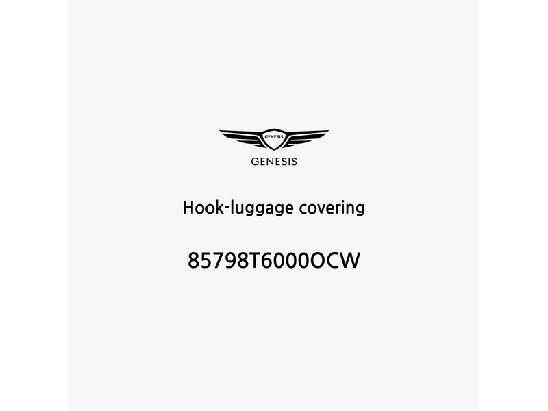 hook-luggage-covering-ja