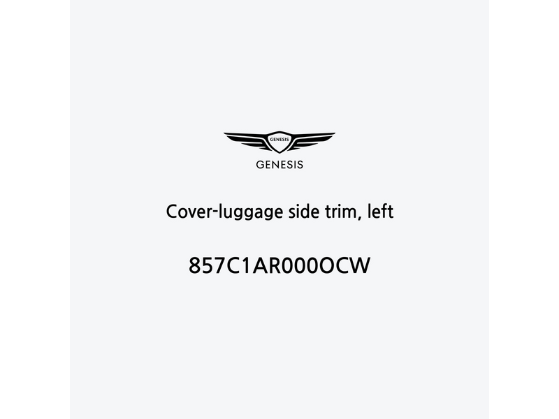 cover-luggage-side-trim-left-pt