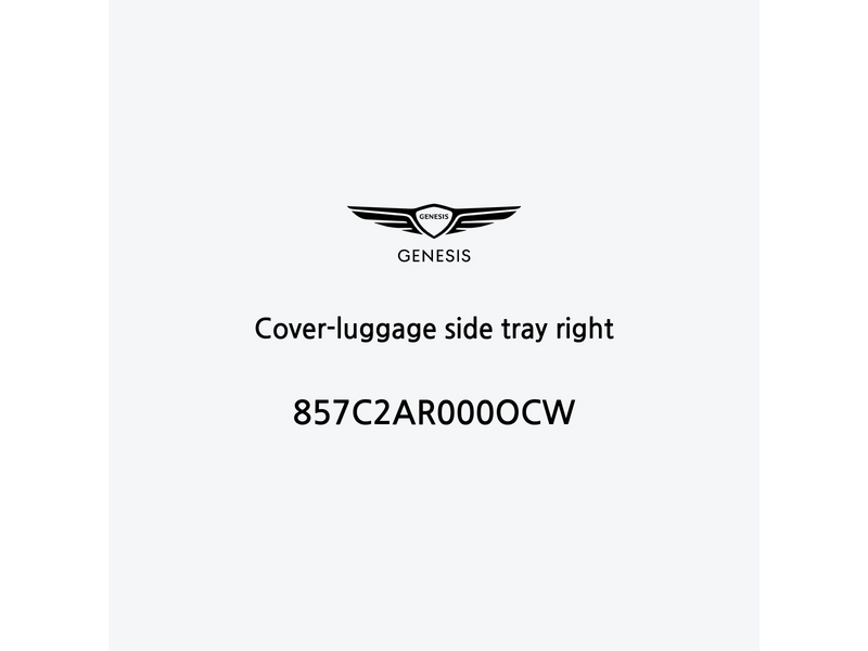 cover-luggage-side-tray-right-fr