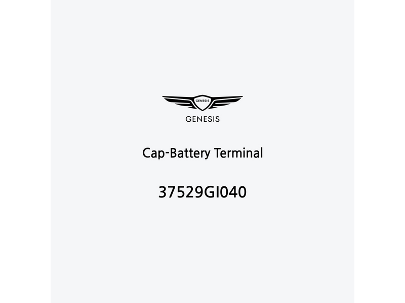 cap-battery-terminal-en