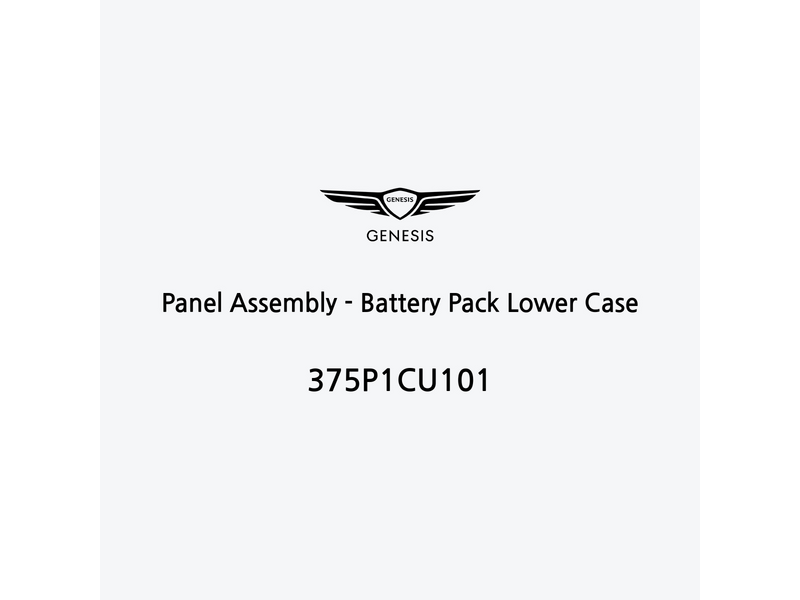 panel-assembly-battery-pack-lower-case-it-2