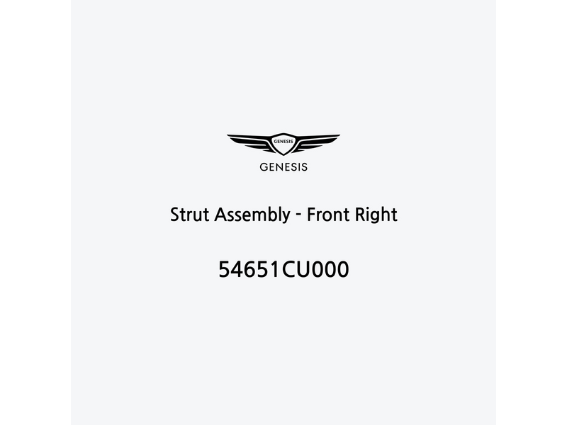 strut-assembly-front-right-it-3