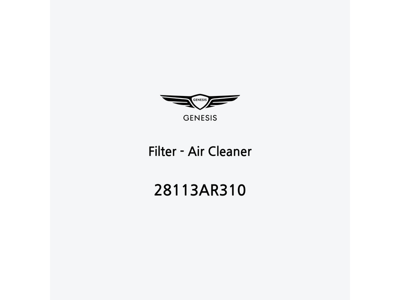 filter-air-cleaner-fr