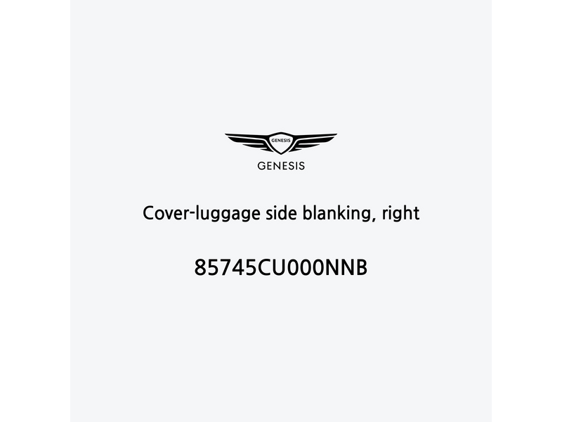 cover-luggage-side-blanking-right