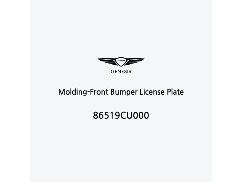 molding-front-bumper-license-plate-fr-2