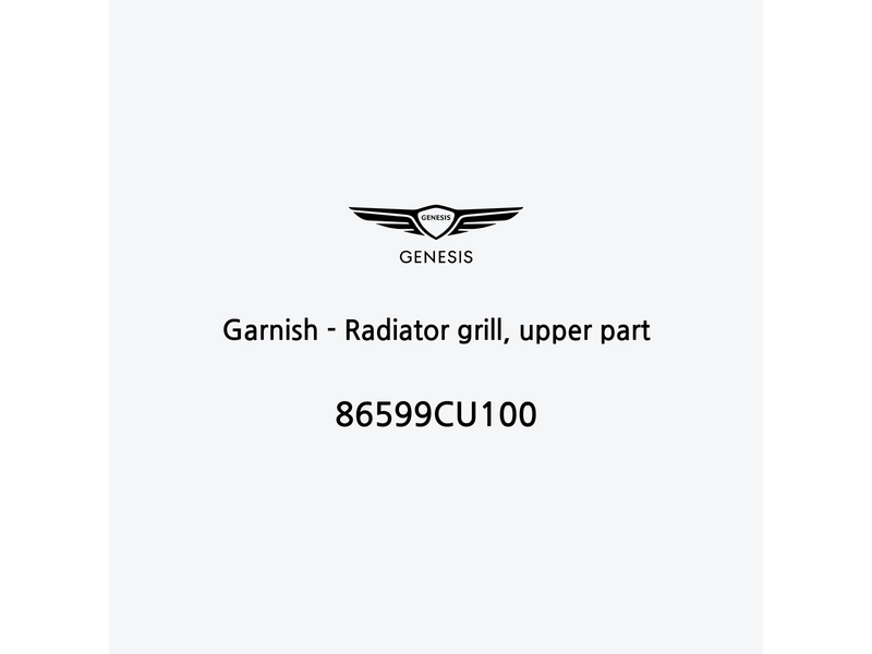 garnish-radiator-grill-upper-part-pt