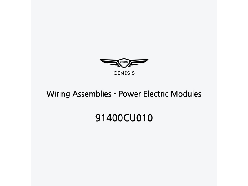 wiring-assemblies-power-electric-modules-fr