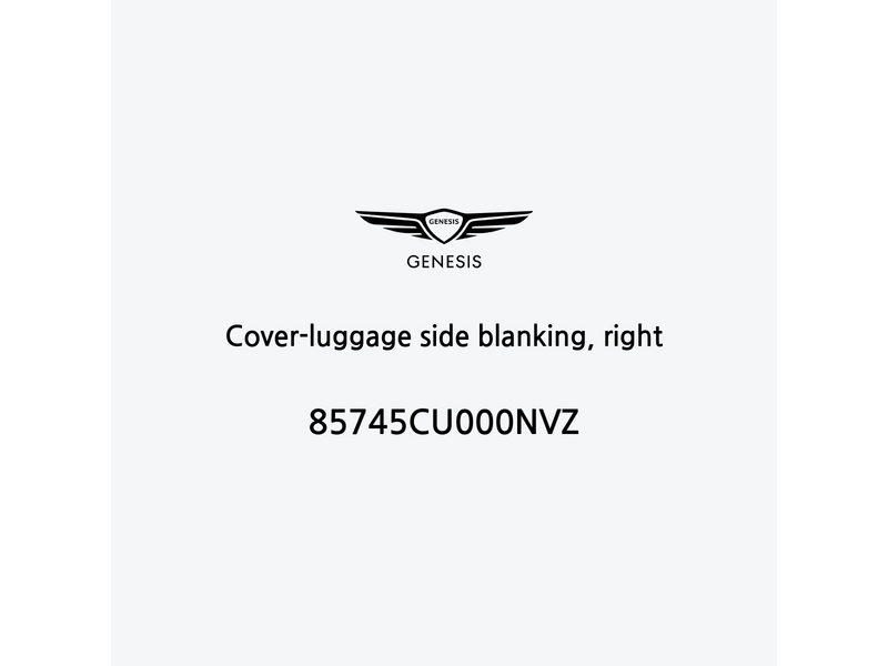 cover-luggage-side-blanking-right-en