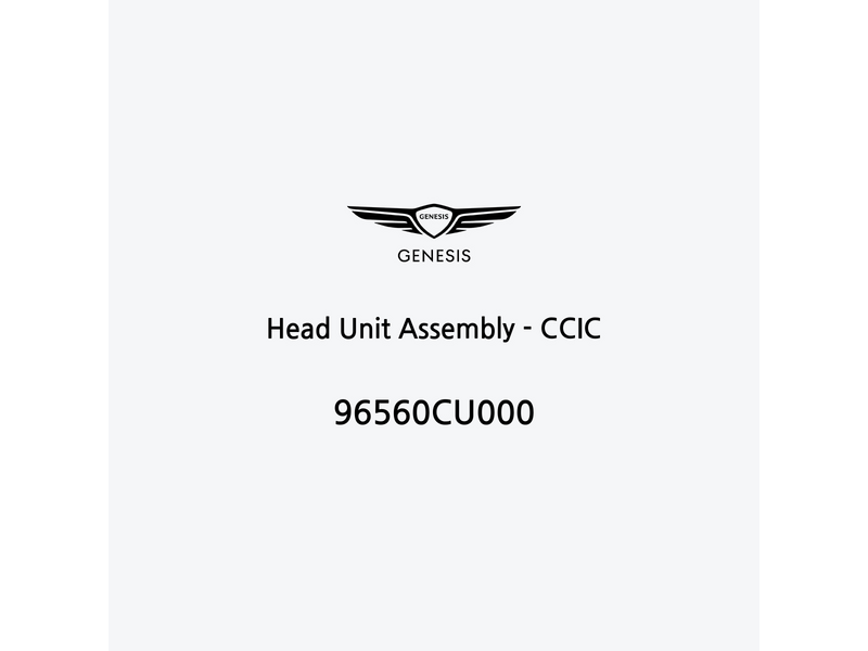 head-unit-assembly-ccic-en