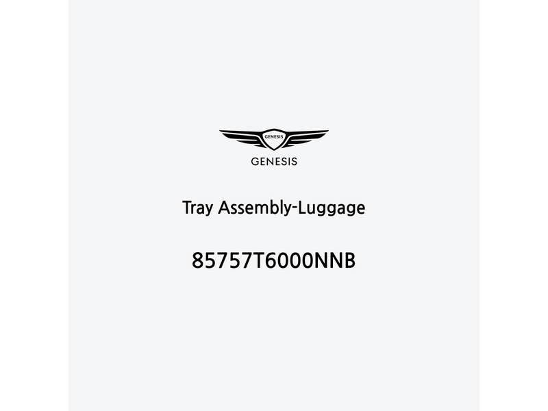 tray-assembly-luggage