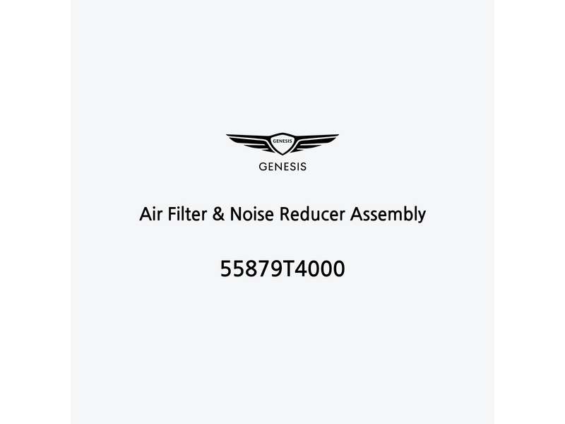 air-filter-and-noise-reducer-assembly-de