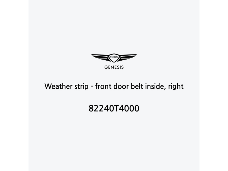 weather-strip-front-door-belt-inside-right-fr-2