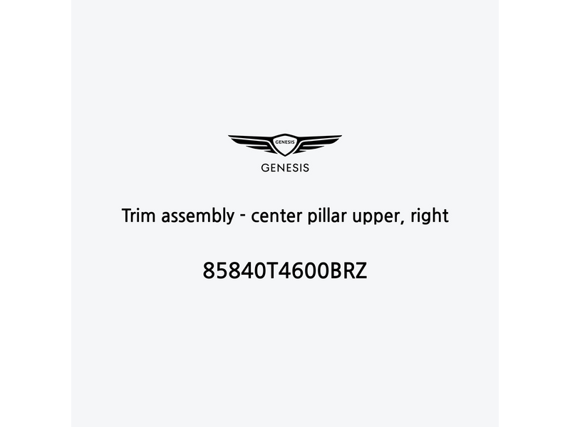 trim-assembly-center-pillar-upper-right-es