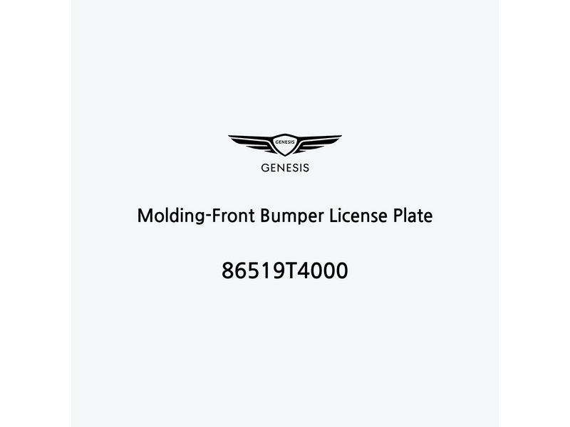 molding-front-bumper-license-plate-en-2