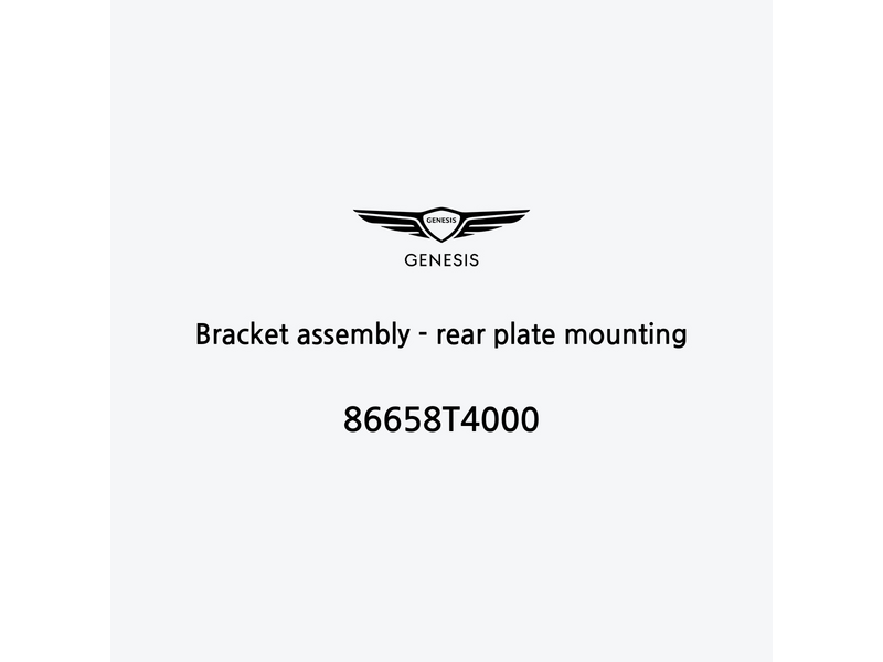 bracket-assembly-rear-plate-mounting-ar