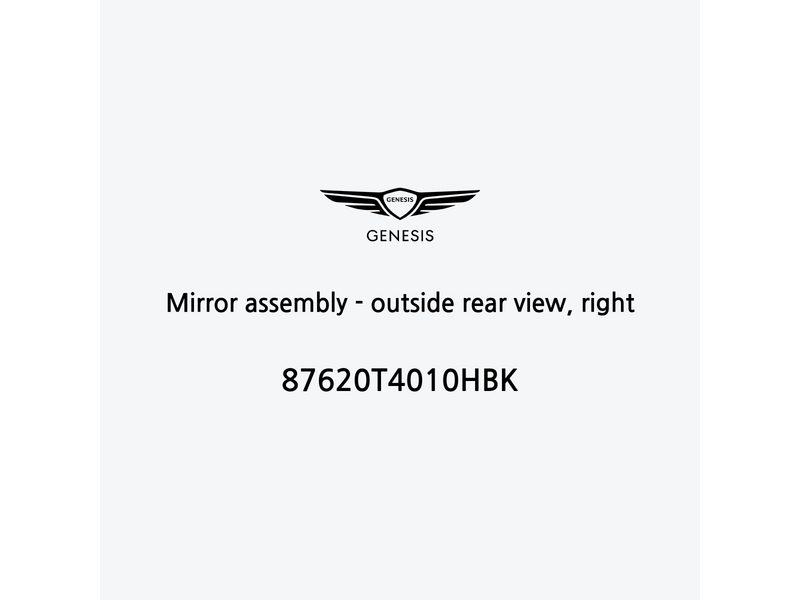 mirror-assembly-outside-rear-view-right-it-2