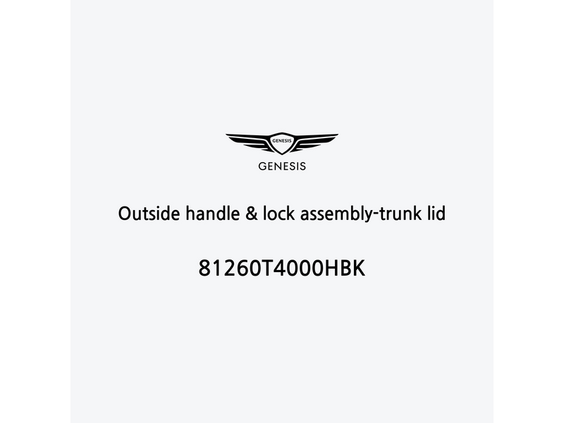 outside-handle-and-lock-assembly-trunk-lid-it