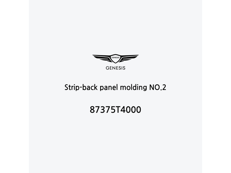 strip-back-panel-molding-no-2