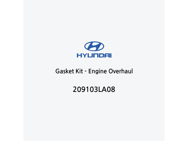 gasket-kit-engine-overhaul-pt