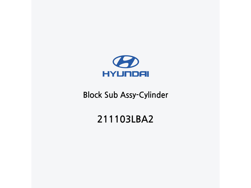 block-sub-assy-cylinder