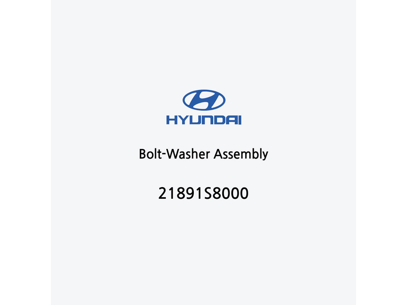 bolt-washer-assembly-pt