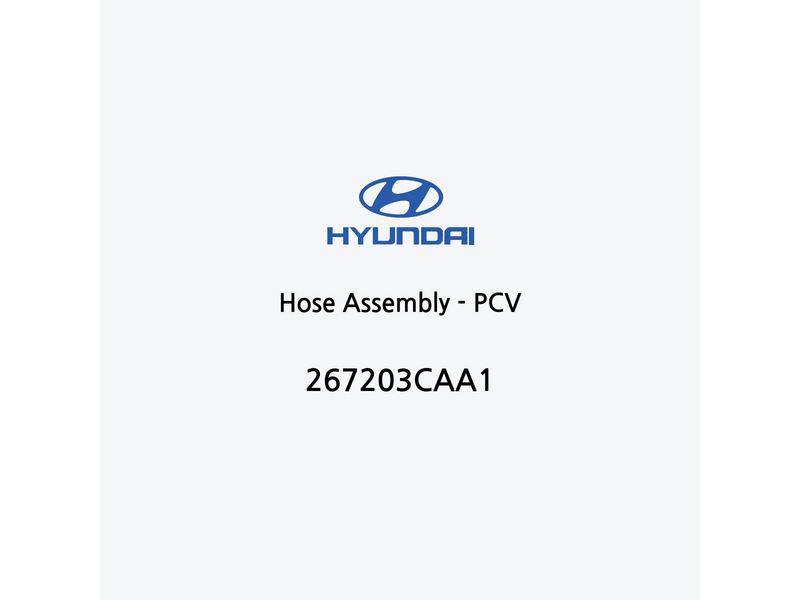 hose-assembly-pcv-pt