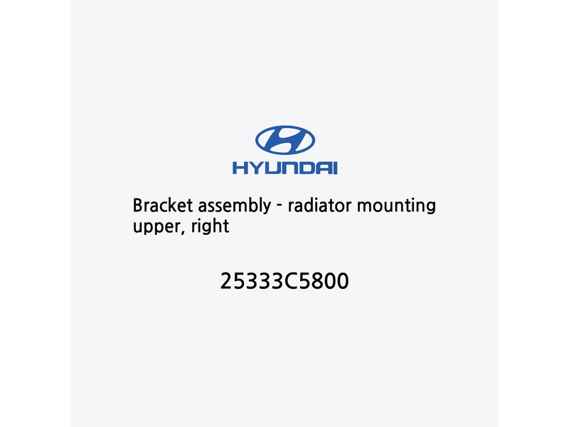 bracket-assembly-radiator-mounting-upper-right-es