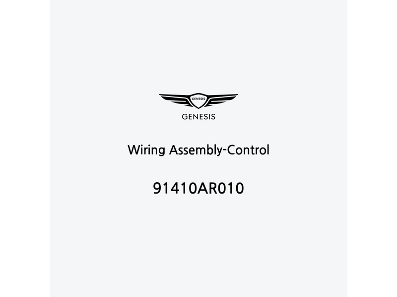 wiring-assembly-control-it-2