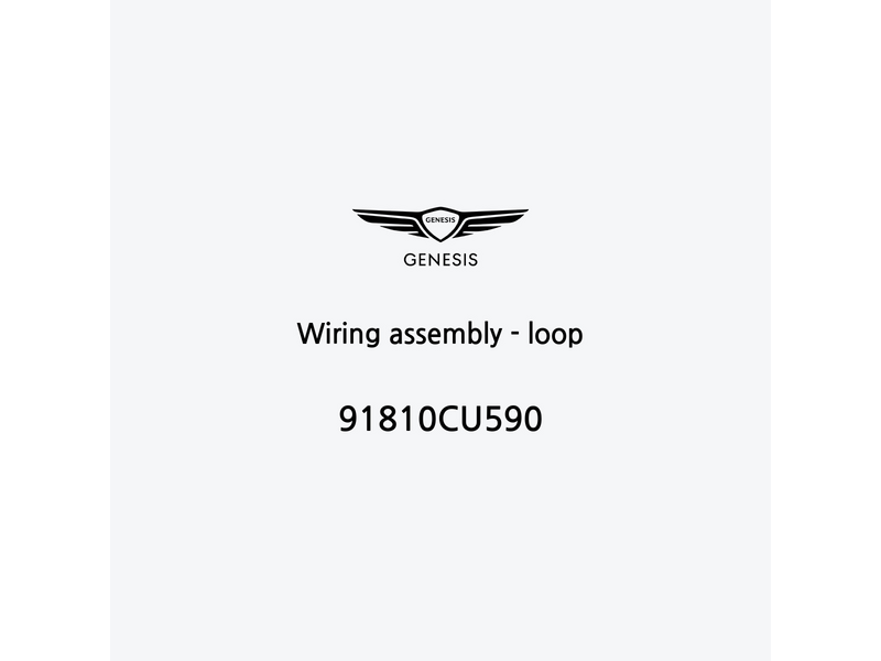 wiring-assembly-loop-it-2