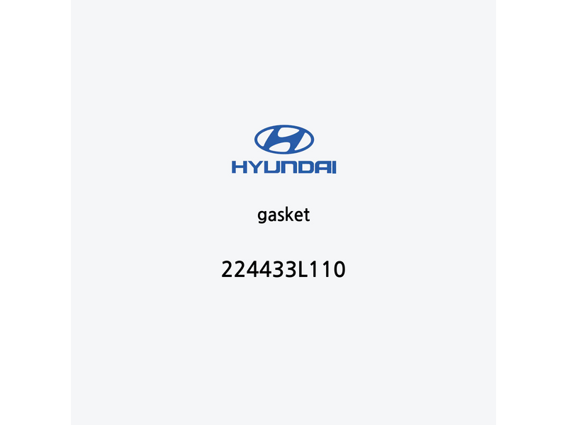 gasket