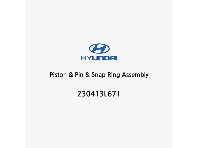 piston-and-pin-and-snap-ring-assembly-fr-6