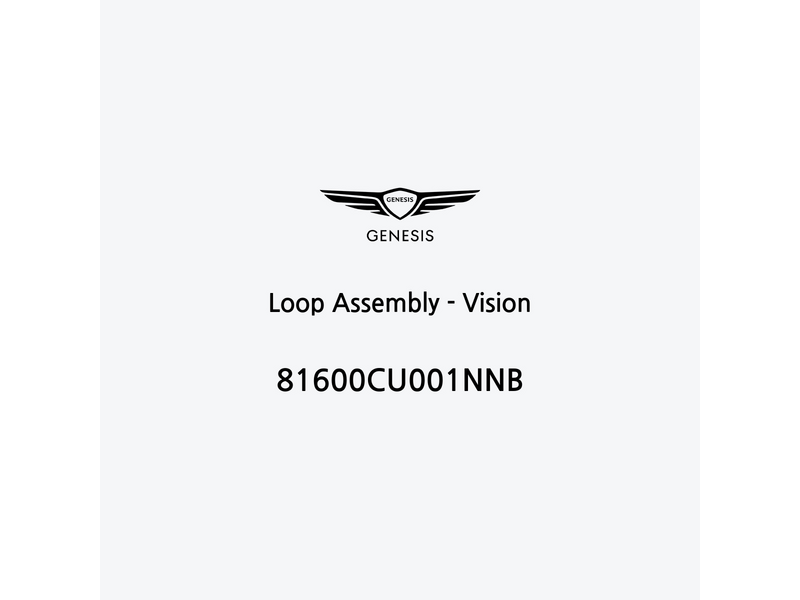 loop-assembly-vision