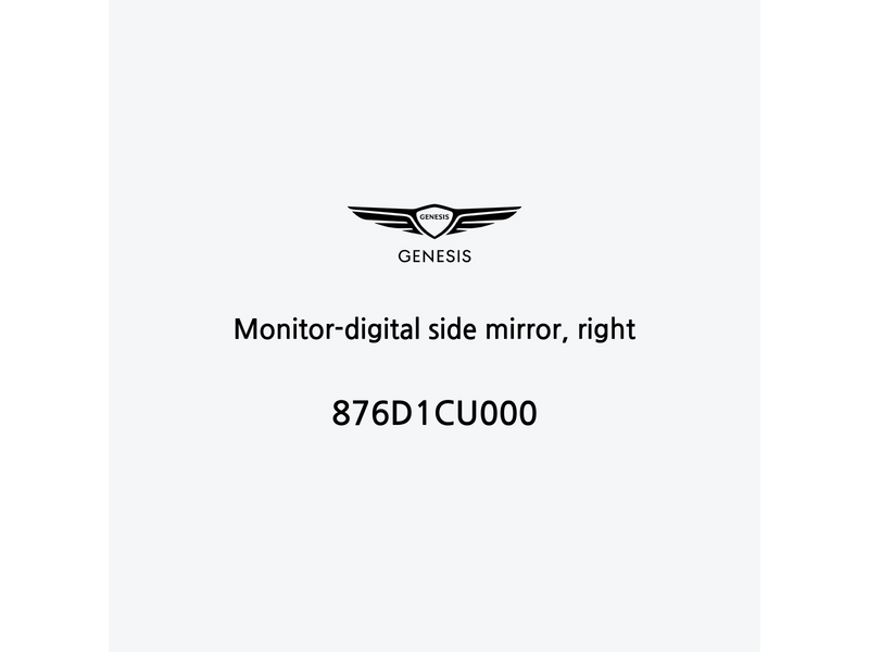 monitor-digital-side-mirror-right-de