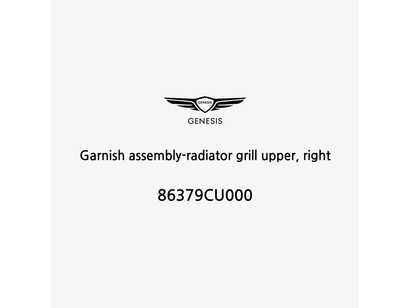 garnish-assembly-radiator-grill-upper-right