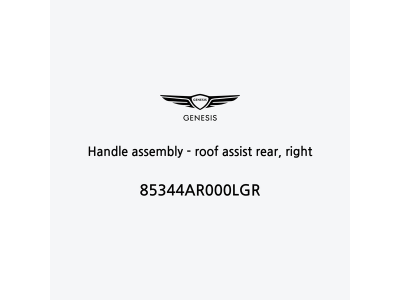 handle-assembly-roof-assist-rear-right-de