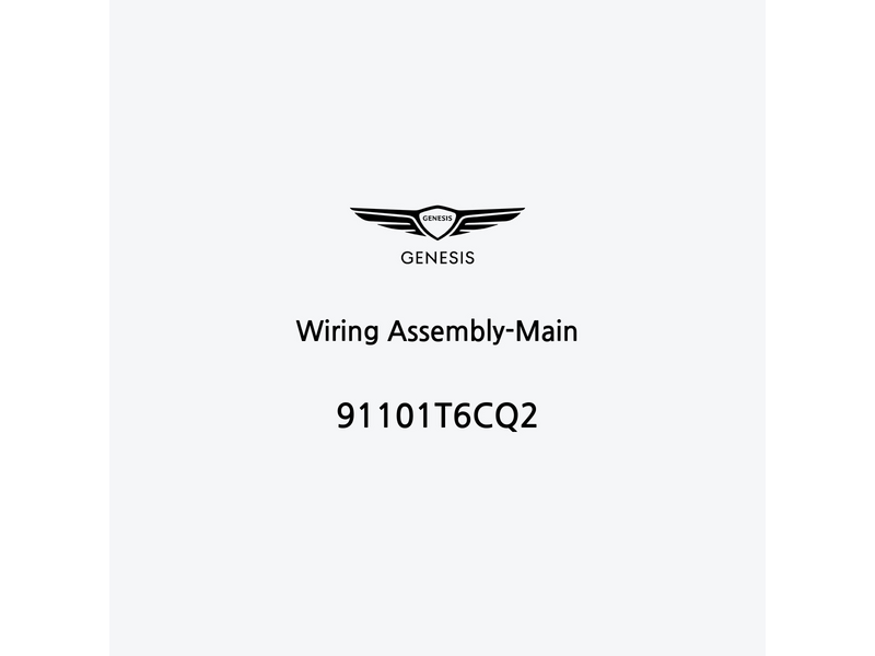 wiring-assembly-main-it-5