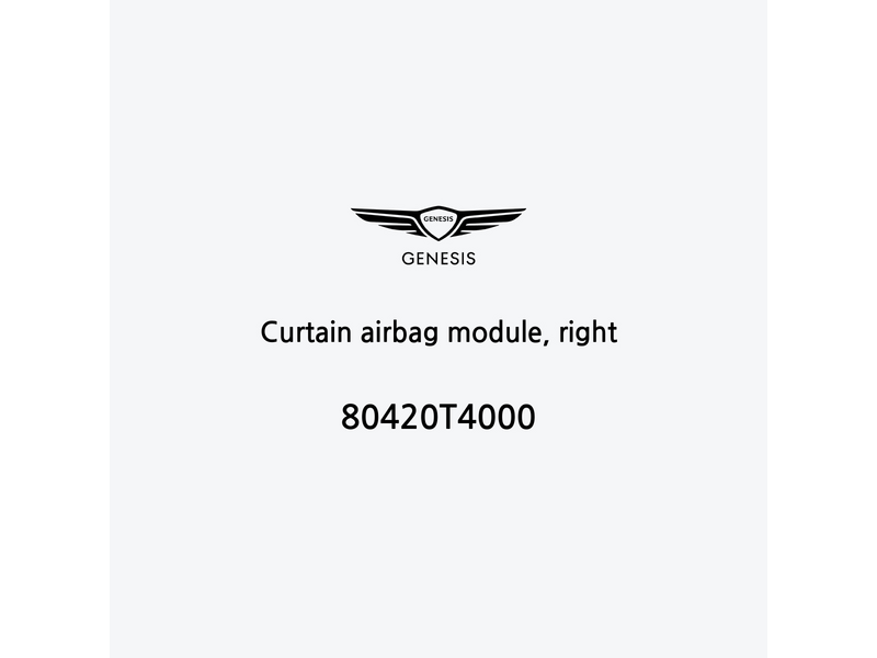 curtain-airbag-module-right-pt-2