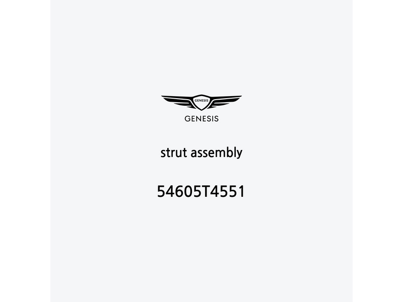 strut-assembly