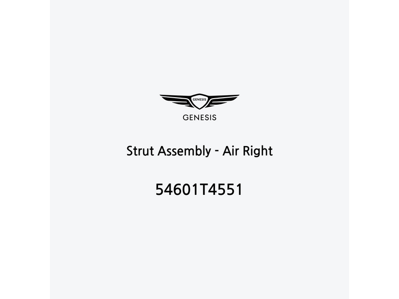 strut-assembly-air-right