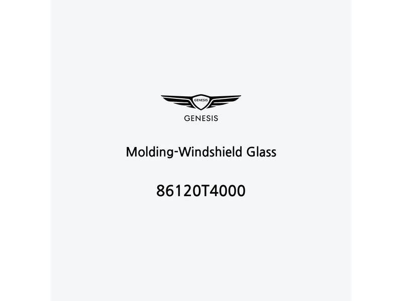 molding-windshield-glass-pt