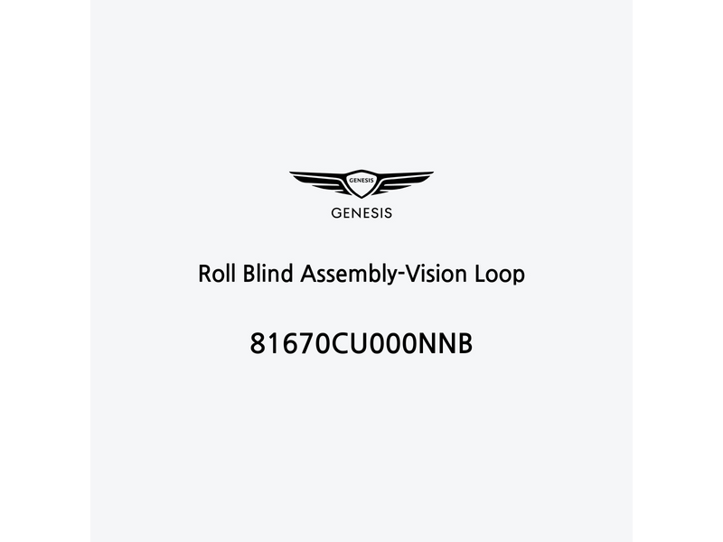 roll-blind-assembly-vision-loop-it