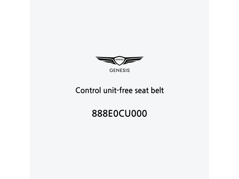 control-unit-free-seat-belt