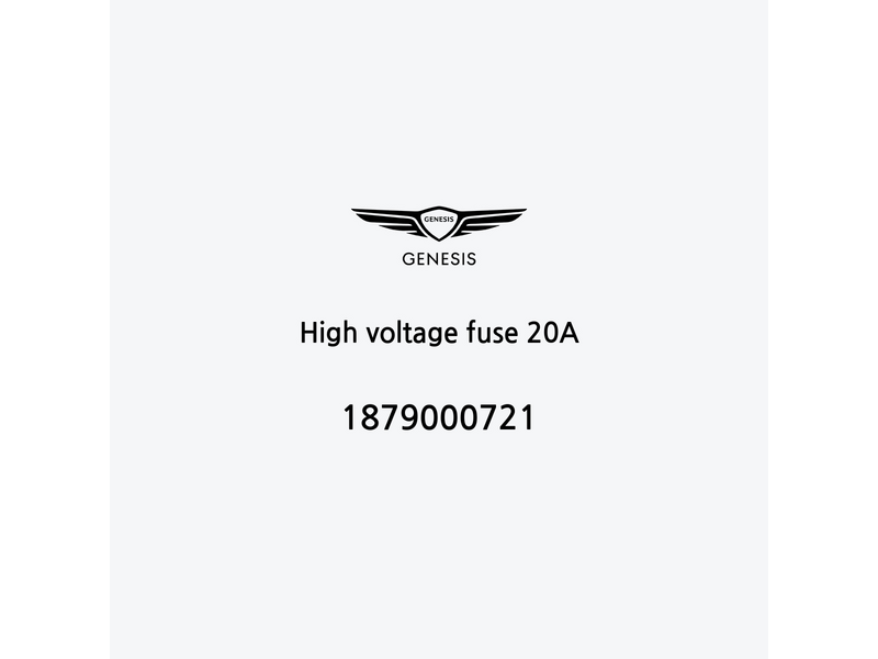 high-voltage-fuse-20a-pt